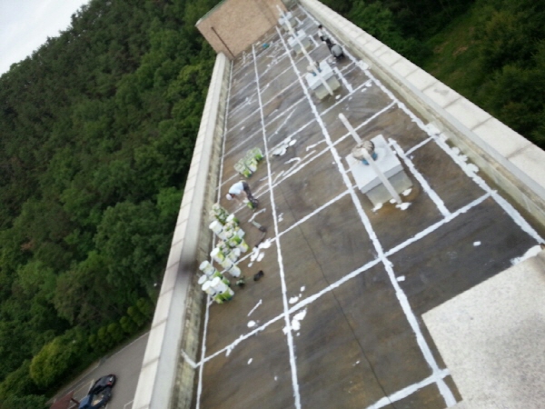 20130611_075836.jpg